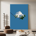 Cloud on a Branch