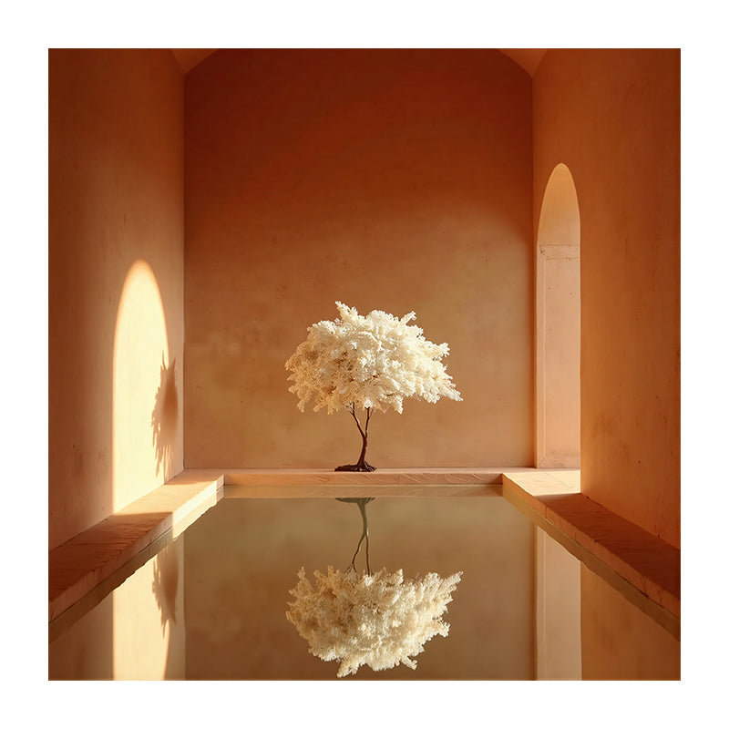 The Echoing Oasis