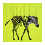 Neon Zebra in Motion