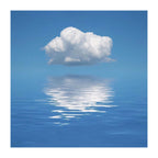 The Mirror of Sky