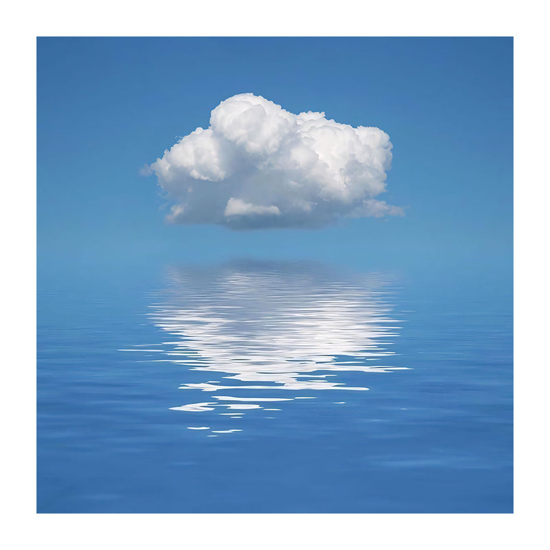 The Mirror of Sky