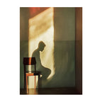 Golden Light and Shadow