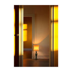 The Illumination