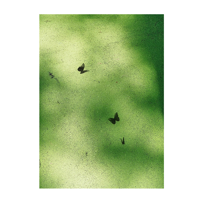 Dance in the Sunlight