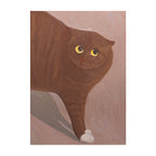 Curious Brown Sock Cat