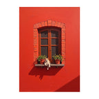 The Afternoon Watcher