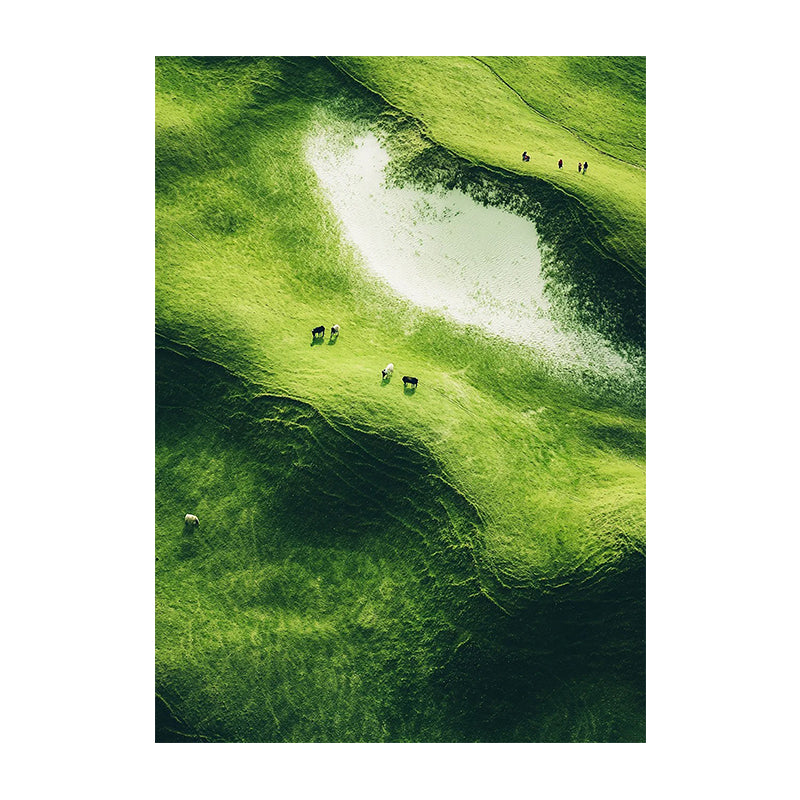 Earth’s Canvas