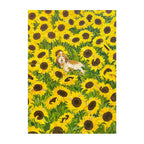 Golden Days in the Sunflowers