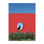 The Black Cat at the Round Window