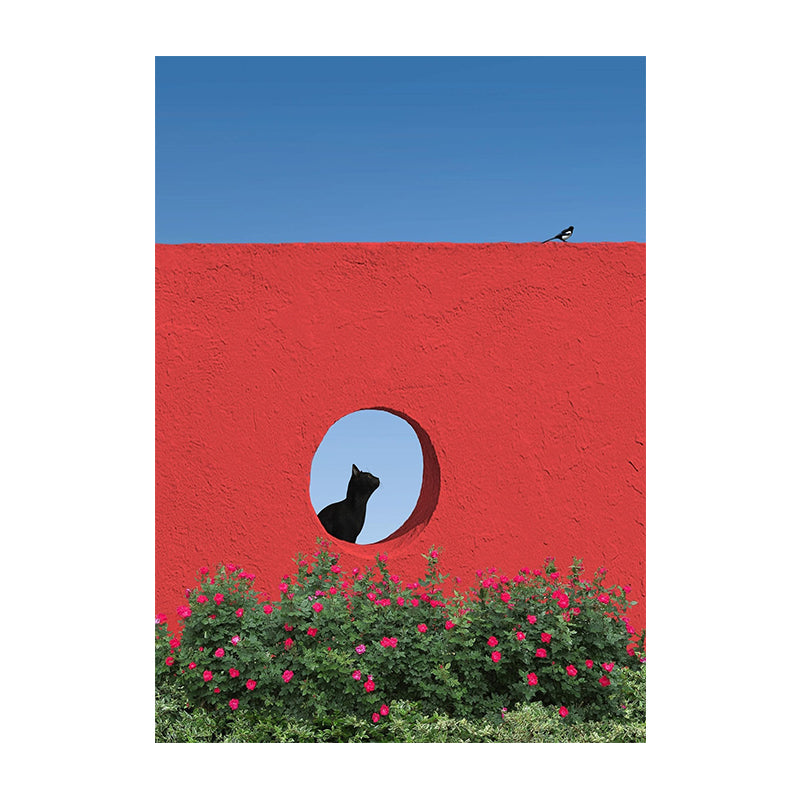 The Black Cat at the Round Window