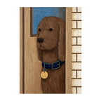 Nice Dog at Night